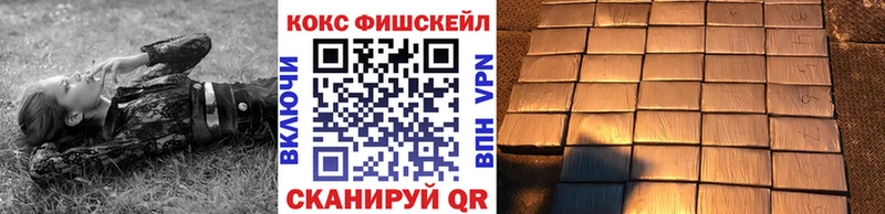 COCAIN Fish Scale Мостовской