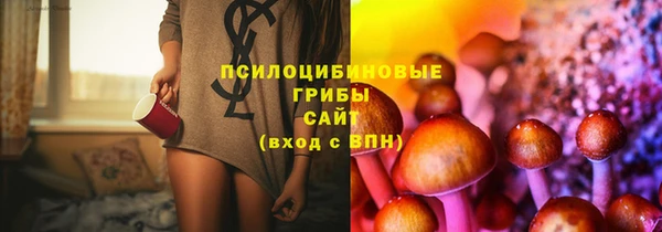 бошки Абдулино