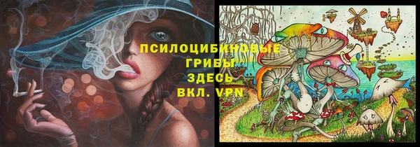 бошки Абдулино