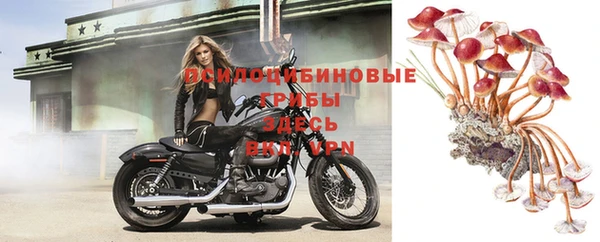 бошки Абдулино